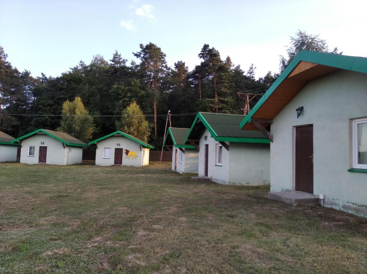 Domki Pod Lasem Płońsk Extérieur photo
