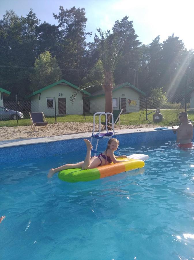 Domki Pod Lasem Płońsk Extérieur photo